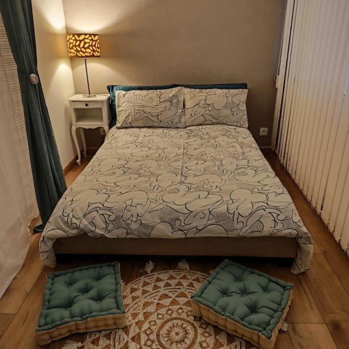 Superbe Cosy Duplex Appartement T3 Charpenne Tete D'Or Avec Parking Prive Gratuit Villeurbanne Exterior photo