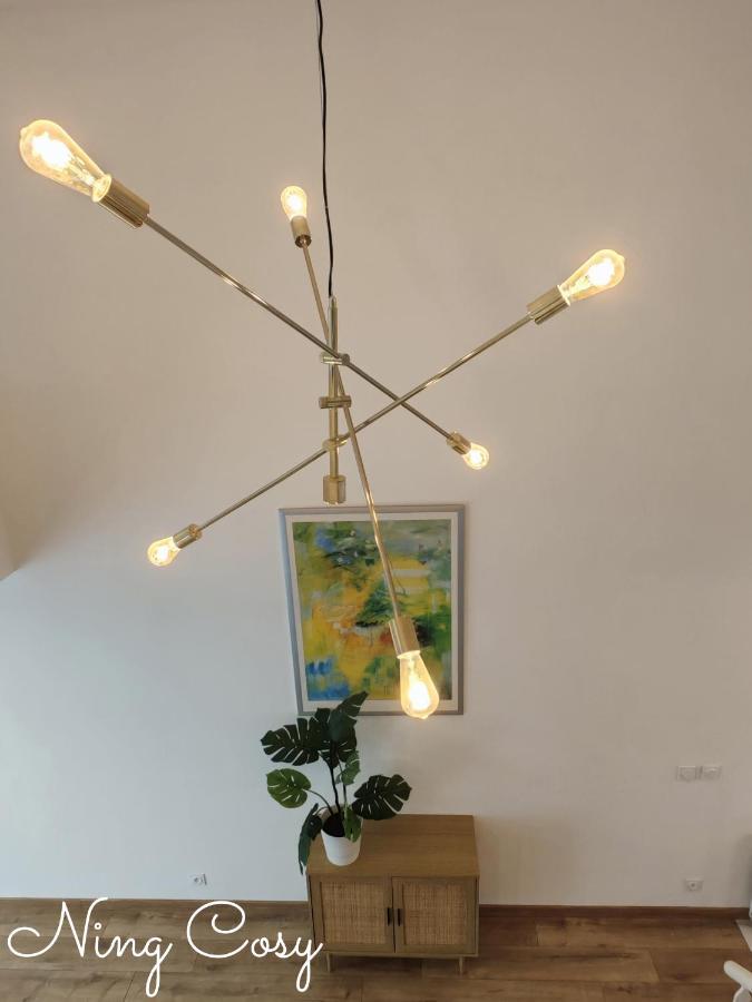 Superbe Cosy Duplex Appartement T3 Charpenne Tete D'Or Avec Parking Prive Gratuit Villeurbanne Exterior photo