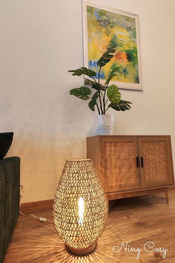 Superbe Cosy Duplex Appartement T3 Charpenne Tete D'Or Avec Parking Prive Gratuit Villeurbanne Exterior photo
